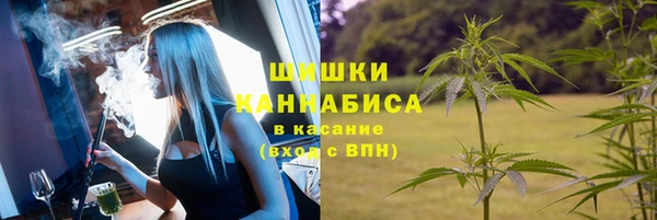 индика Алзамай