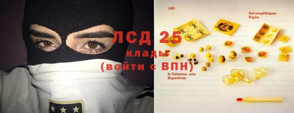 индика Алзамай