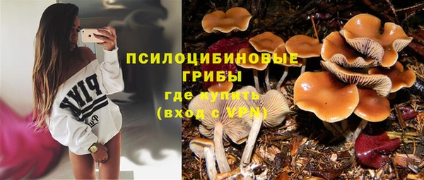 индика Алзамай