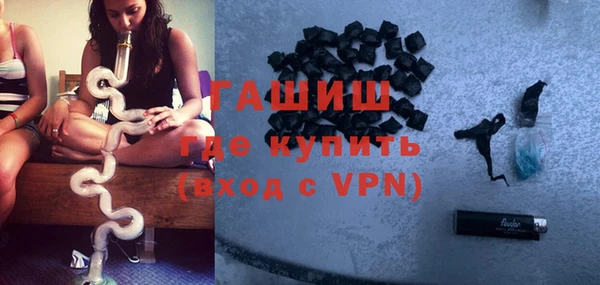 индика Алзамай