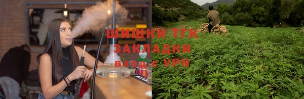 индика Алзамай
