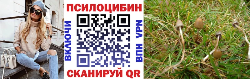 дарк нет состав  Поронайск  Псилоцибиновые грибы Psilocybe  сколько стоит 